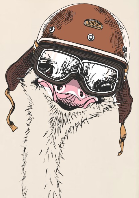 Суитшърт бежав с цип " Щраус"