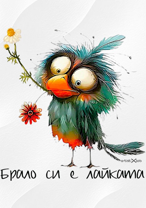 Суитшърт бял - "Брало си е лайката"
